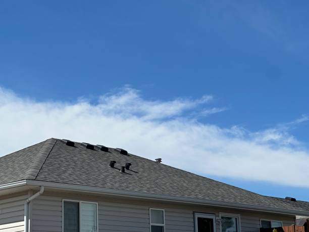 Best Storm Damage Roof Repair  in USA